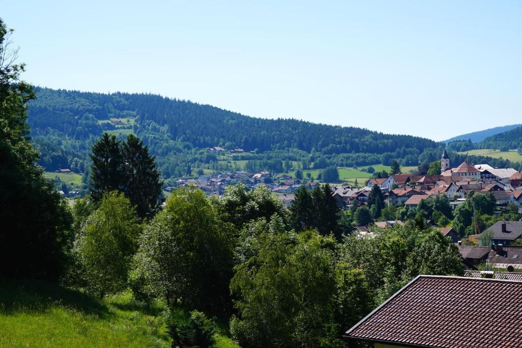 Pension Zur Klause Bodenmais Exterior foto