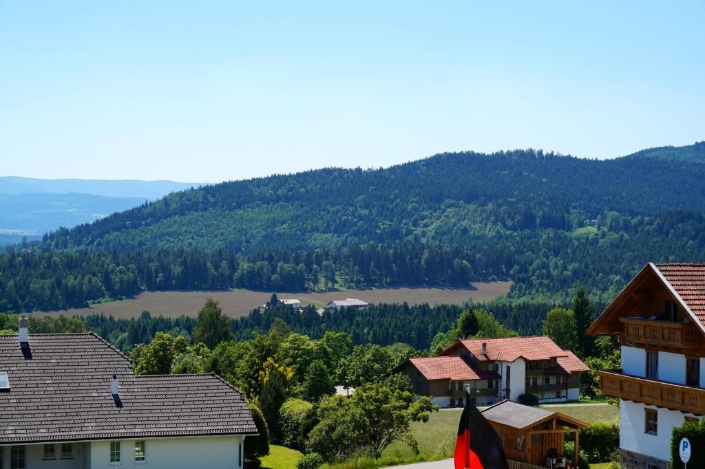 Pension Zur Klause Bodenmais Exterior foto